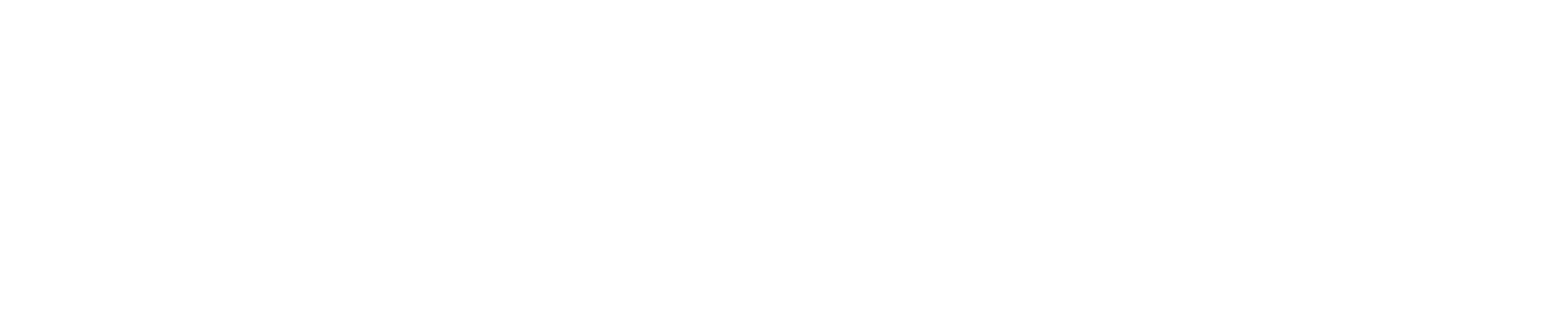 QuantSpark_footer logo